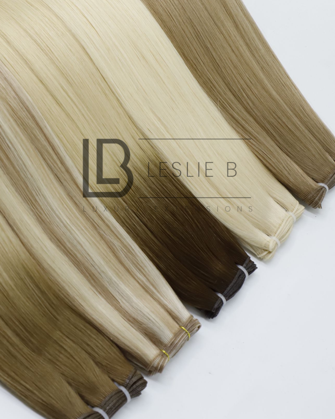 LeslieBextensions2 (2)